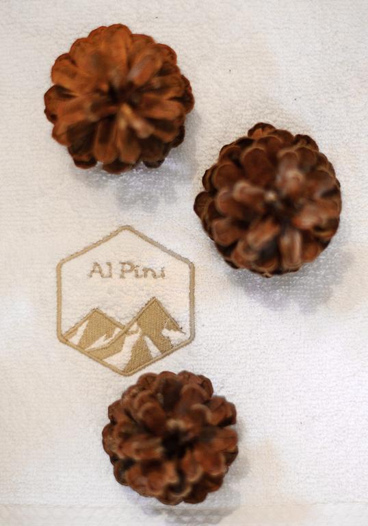 Alpini Apartamenty ザコパネ 部屋 写真
